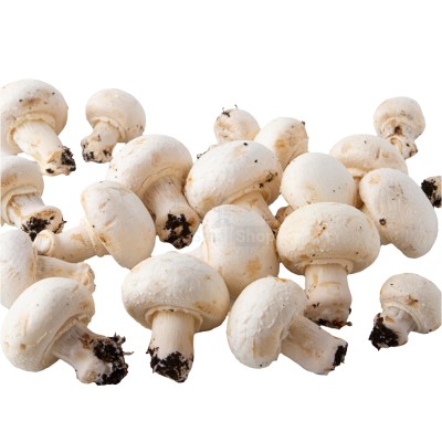 Шампиньоны свежие 500 г - купить в Полга